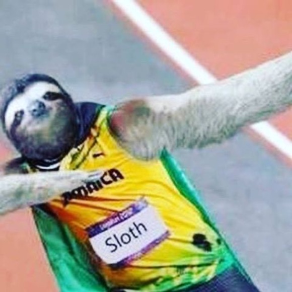 Meet your Posher, Daniel - Picture 1 of 1